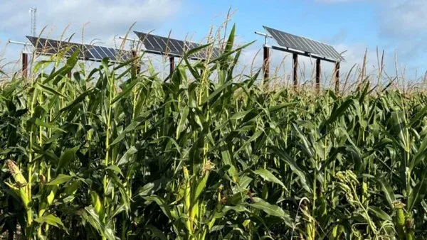 Sierra Club General Meeting:  A History of Energy in Mexico