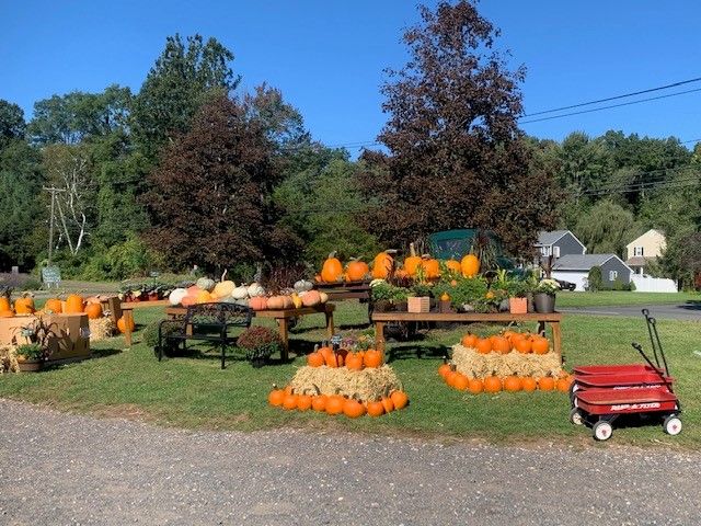 3rd Annual Fall Farm Festival