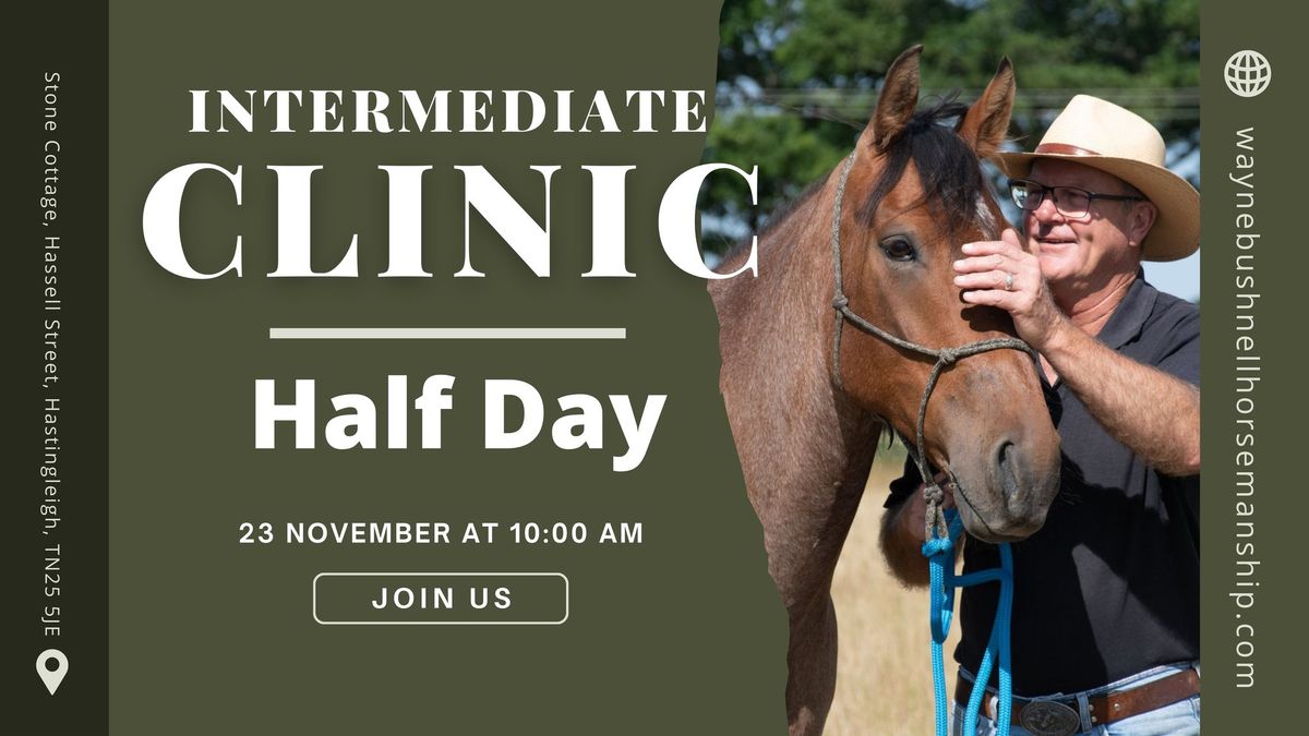 November Clinic: Building on Groundwork Techniques - Natural Horsemanship Half Day Clinic