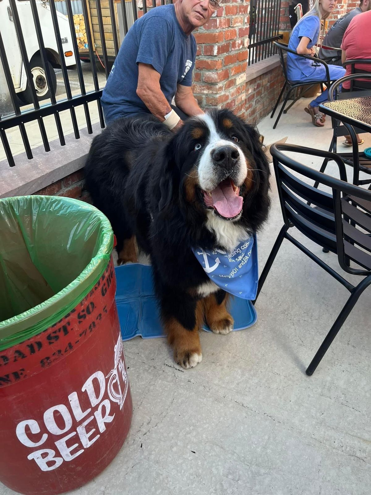 Top Dog Yappy Hour at Sobel\u2019s 