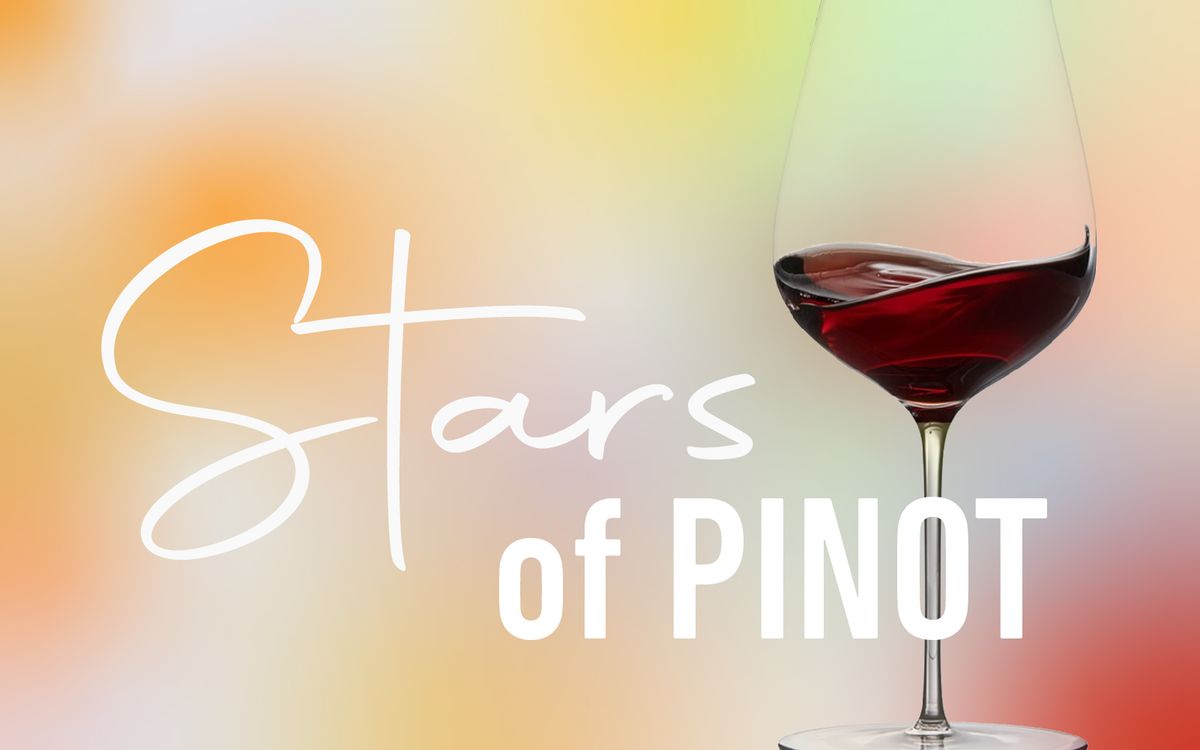 Stars of Pinot Noir - 2024