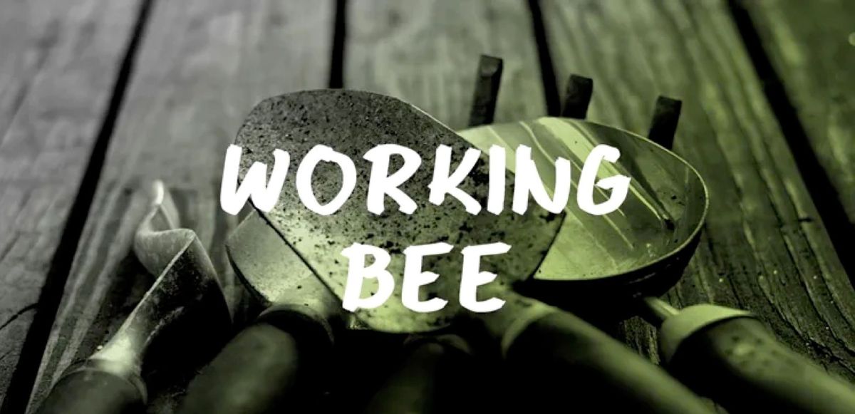 Working Bee