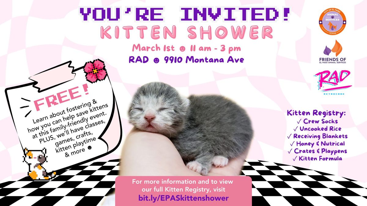 Kitten Shower