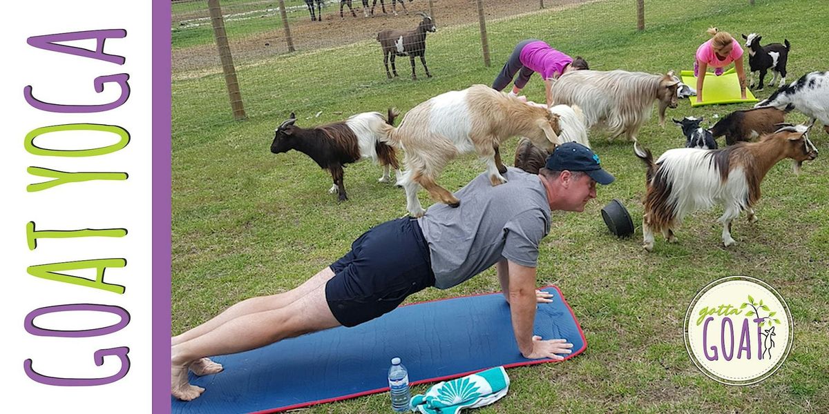 Goat Yoga (GOGA)