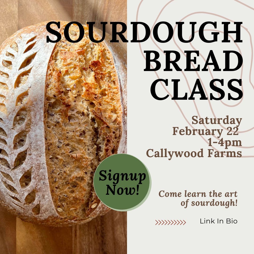 Sourdough bread class