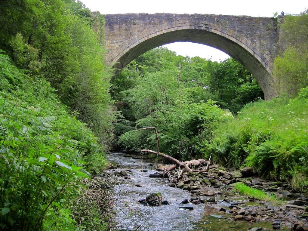 Sat Health Walk 5th October 2024 -Causey Arch Explore with Abi