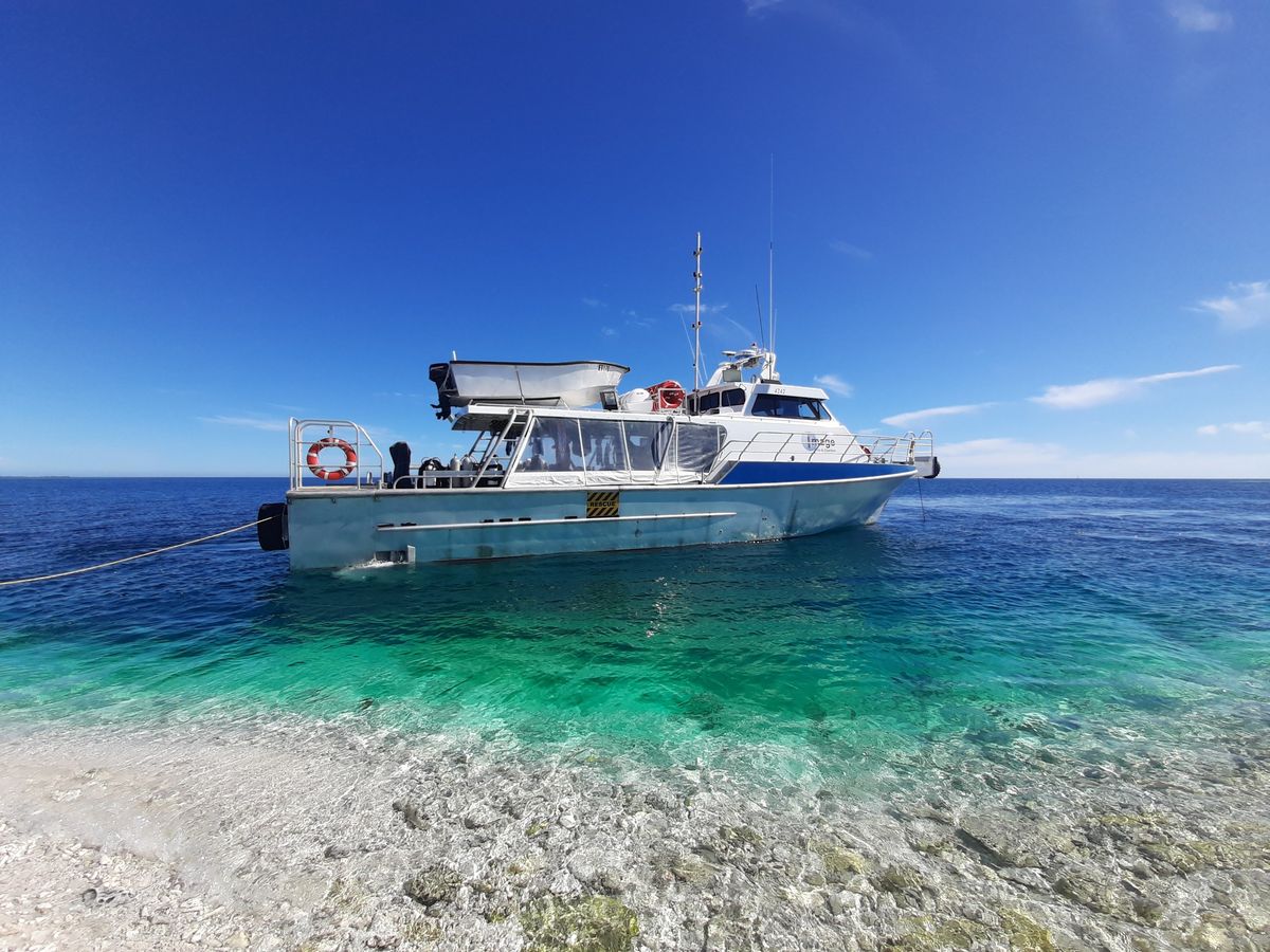 Abrolhos Islands 2025 4 day 4 nights -   4 spots