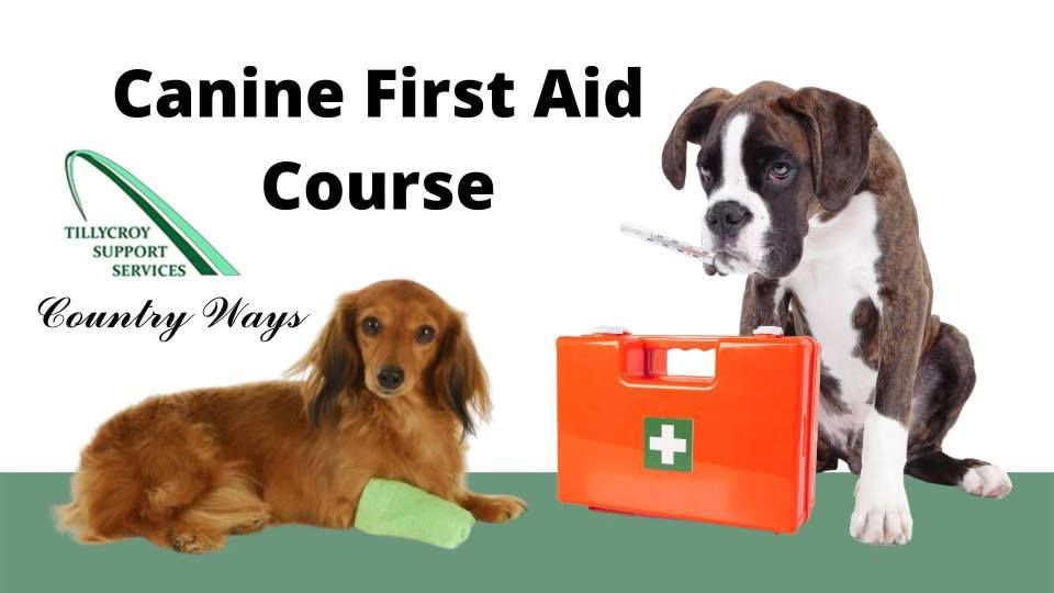 Canine First Aid Course PART 2