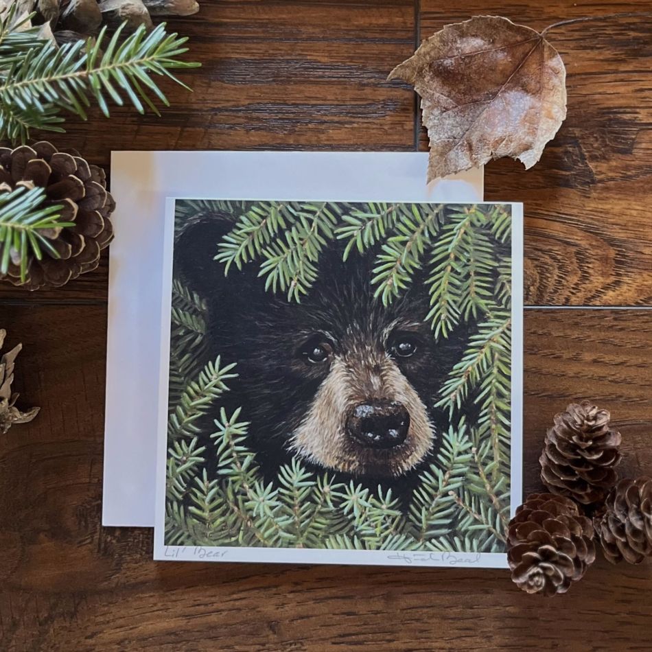 Maine Black Bears vs. Brown Bears