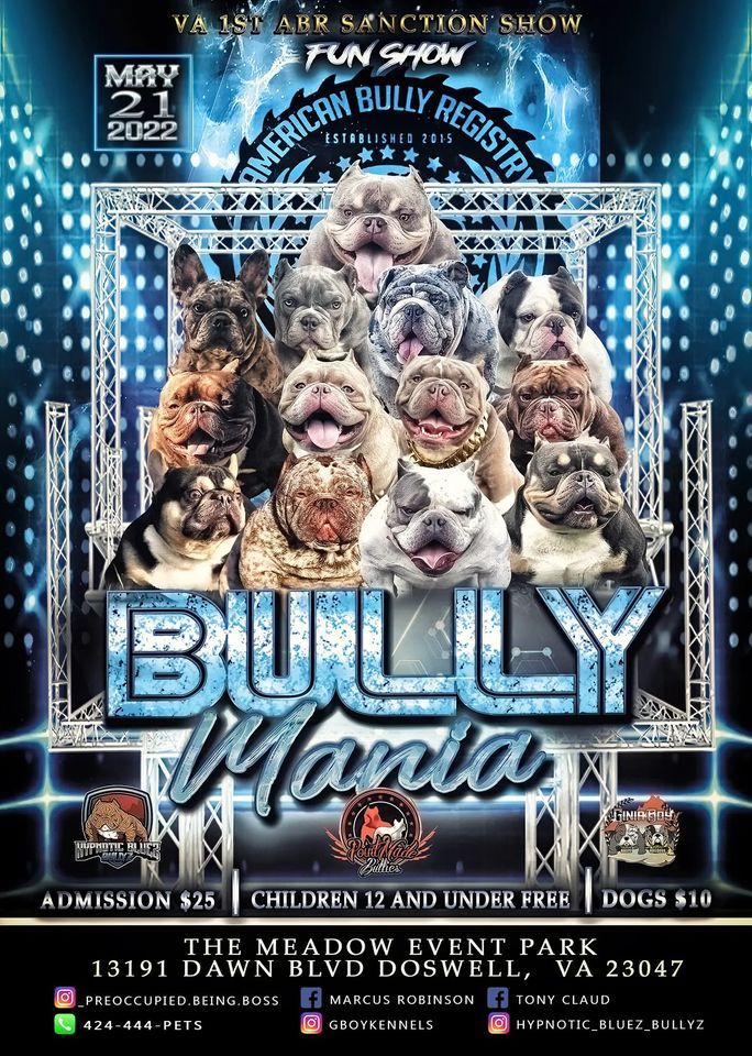 BULLY MANIA