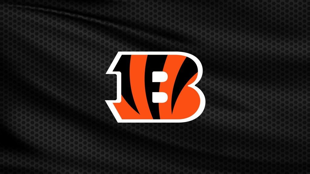 Cincinnati Bengals vs. Las Vegas Raiders