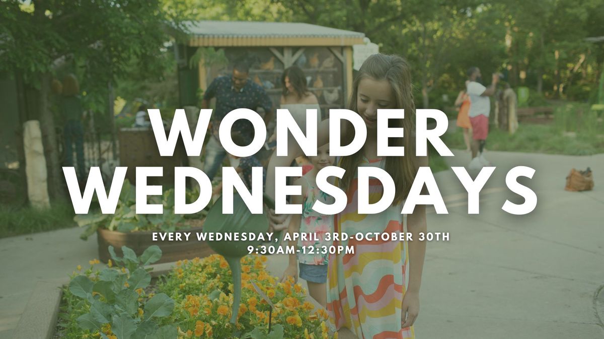 Wonder Wednesdays 