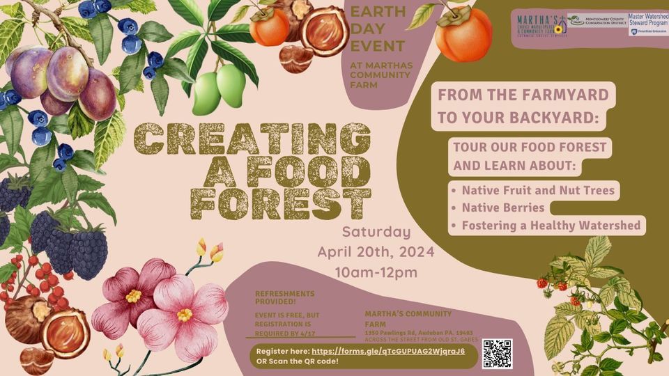 Tour the Food Forest at Martha's Community Farm!