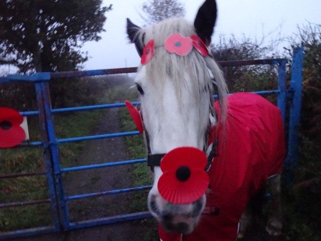  Remembrance Ride - Short and Long Distance Pleasure Riding