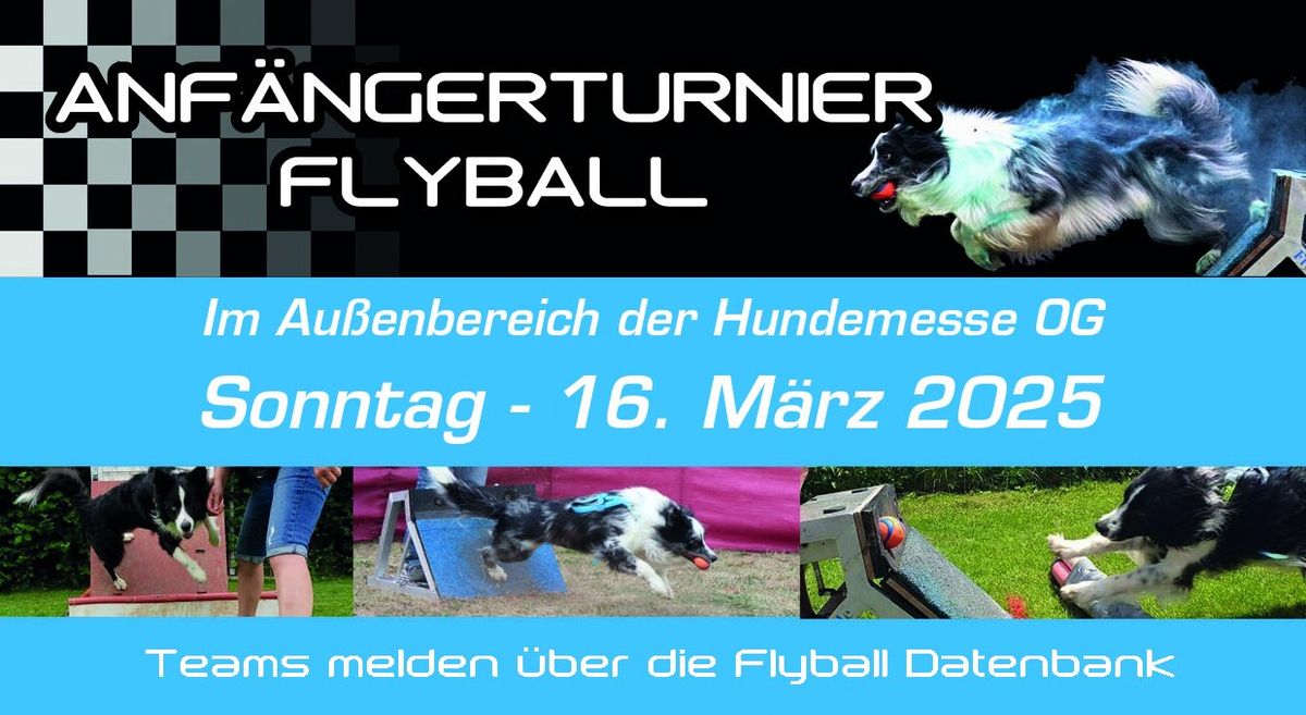 Flyball Anf\u00e4ngerturnier - Hundemesse OG