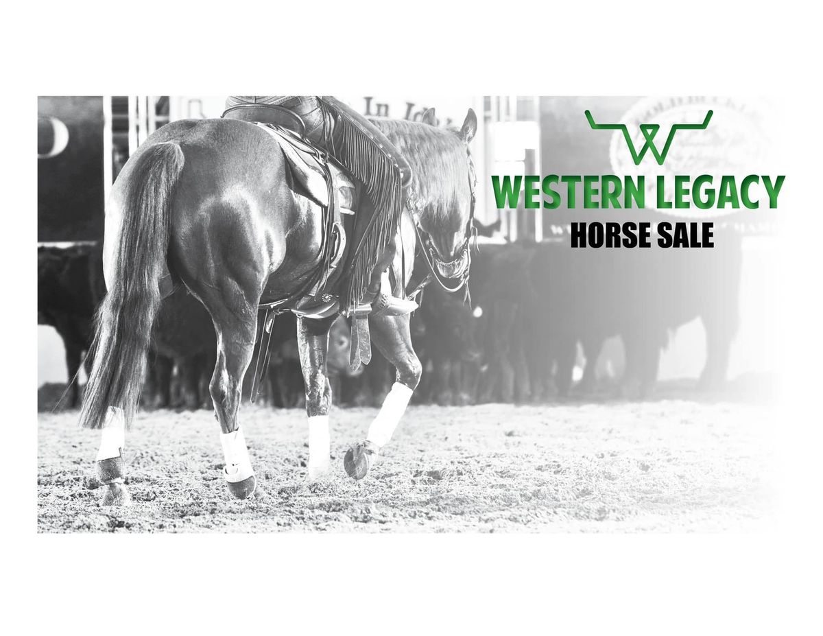 Horse Sale