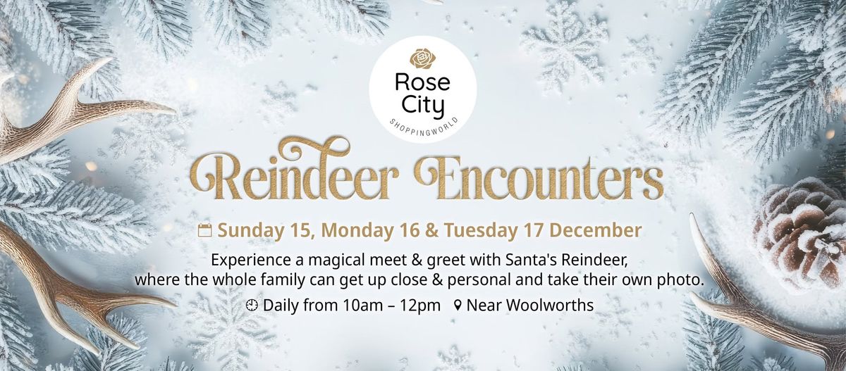 Reindeer Encounters at Rose City Shoppingworld