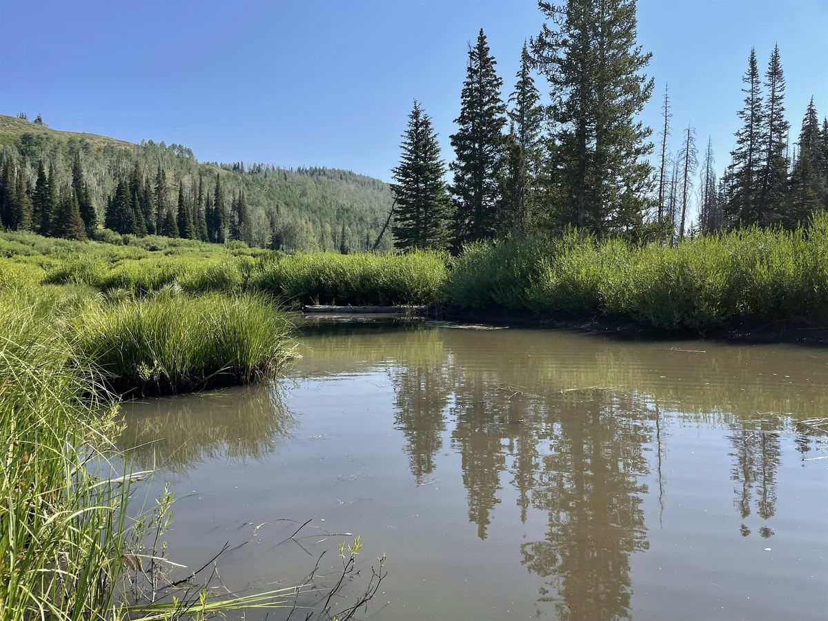 Day Trip: West Fork Duchesne Beaver Complex 1-3 (ride with Zoo)