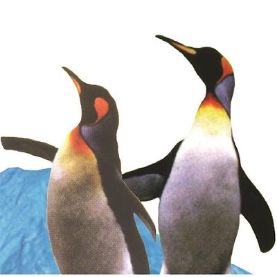 ASOCIACION ARGENTINA DEL FRIO