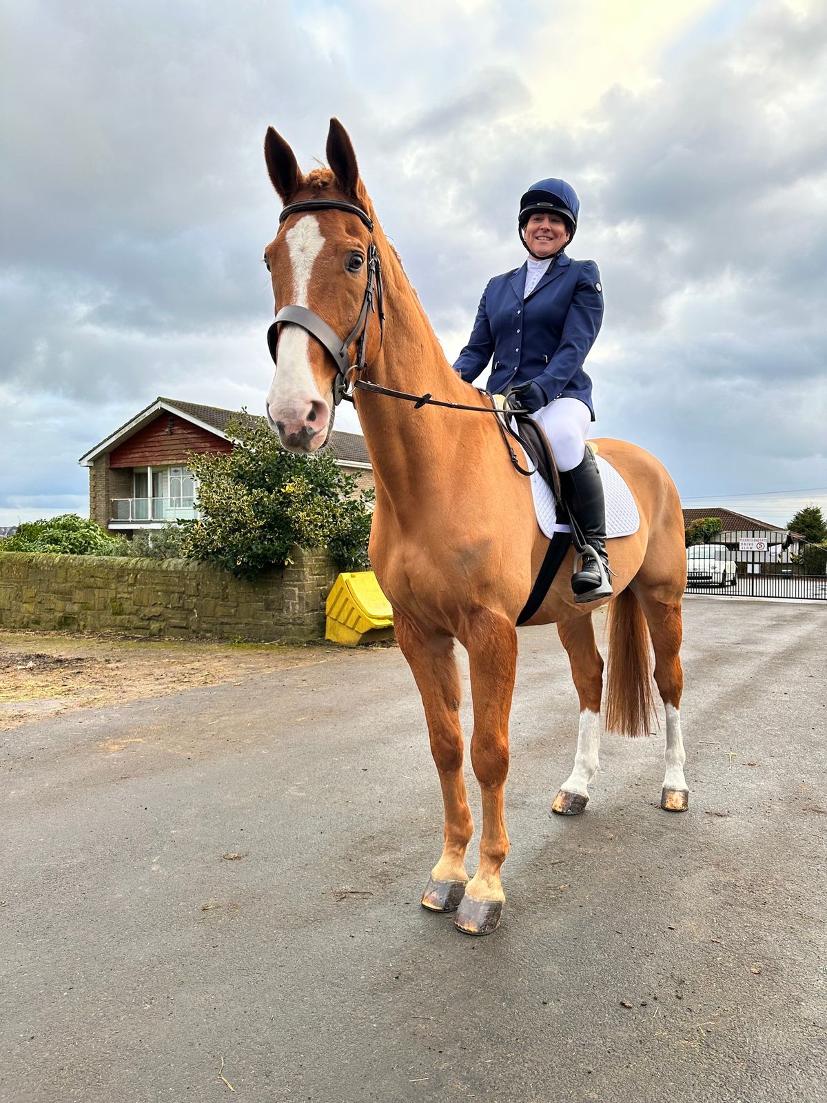 Summer Dressage