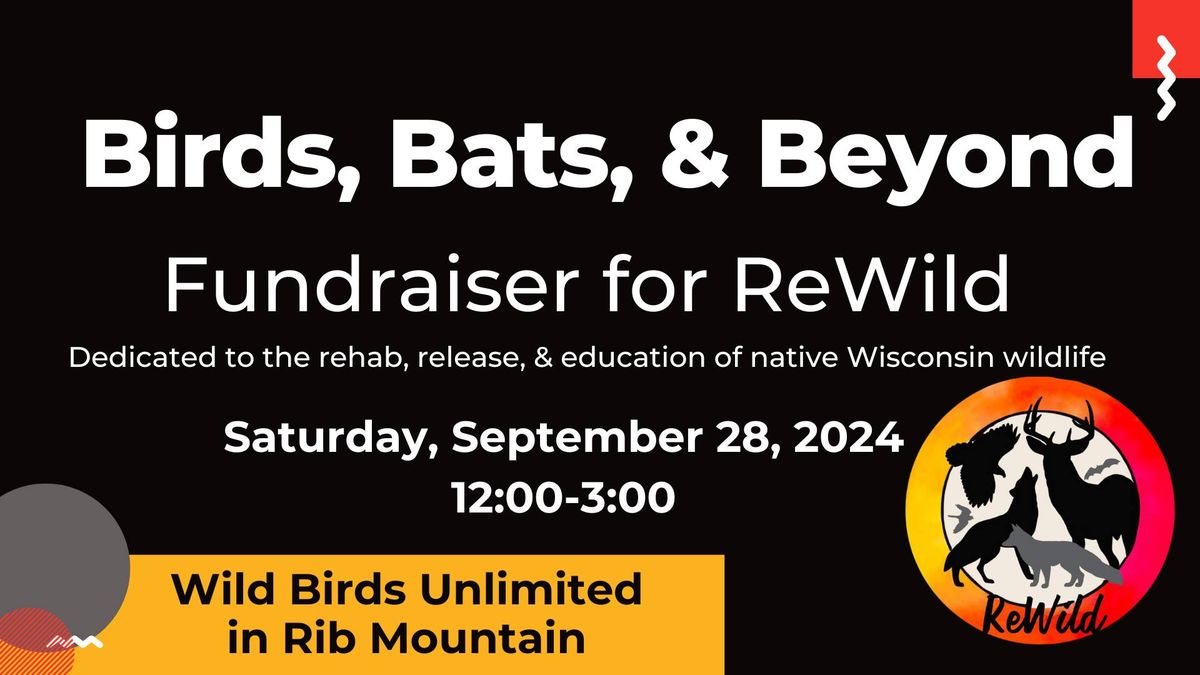 Birds, Bats, & Beyond ReWild Fundraiser