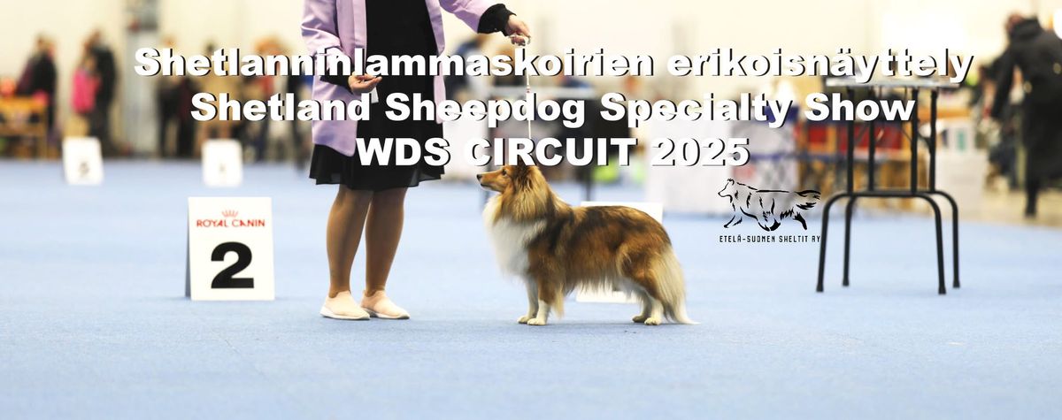 Shetlanninlammaskoirien erikoisn\u00e4yttely WDS CIRCUIT 2025