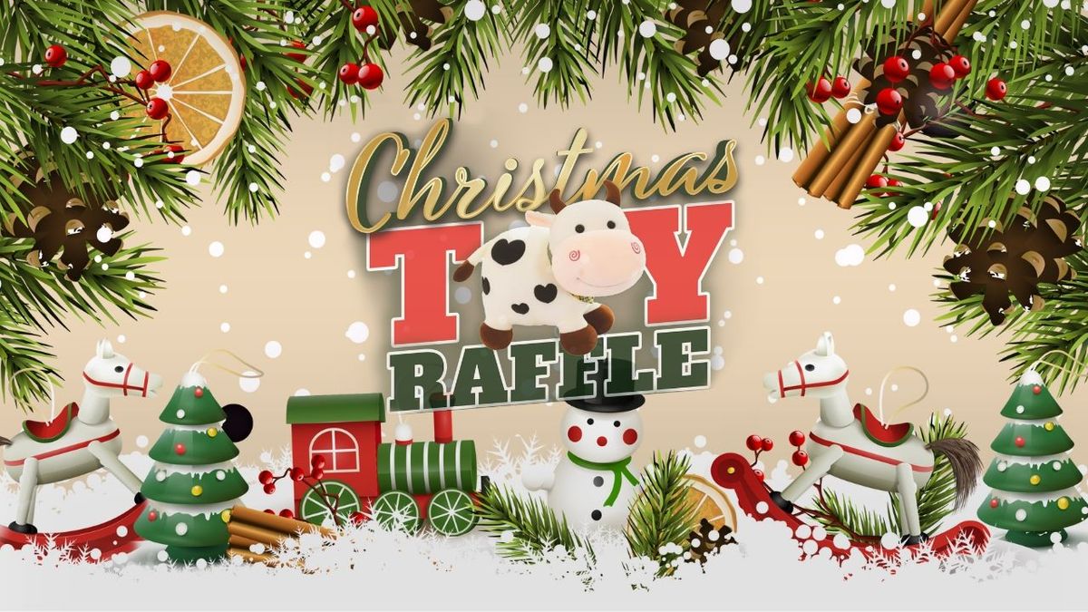 Christmas Toy Raffle