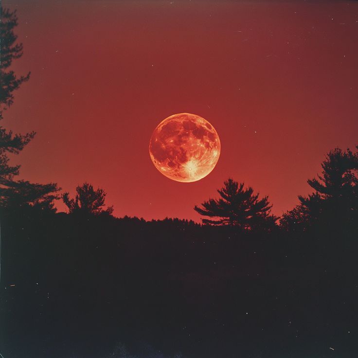 Blood Moon Eclipse: A dinner hike and watch party