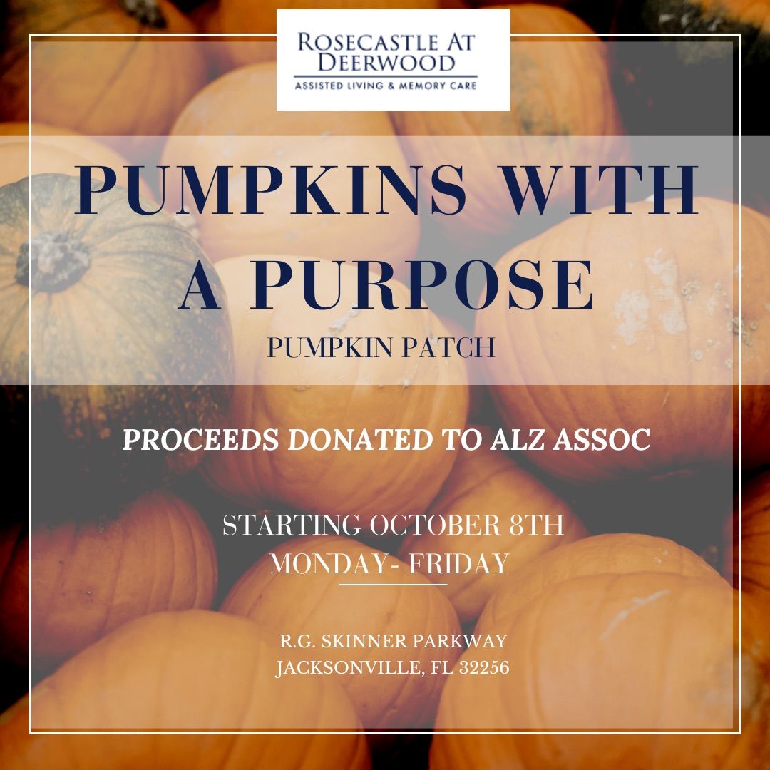 Pumpkins with a purpose PUMPKIN PATCH