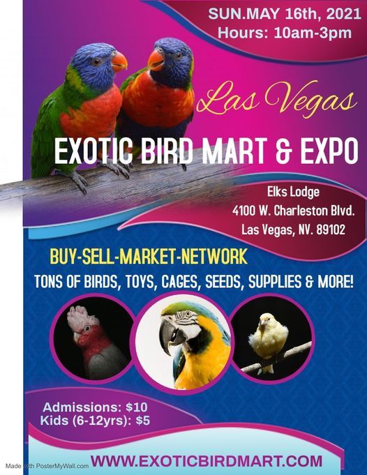 Las Vegas Exotic Bird Mart
