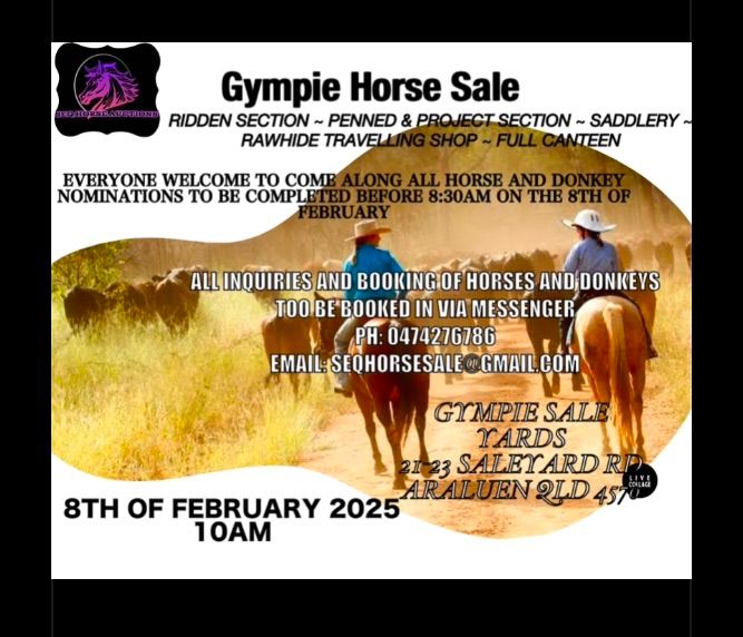 Gympie Horse Sale