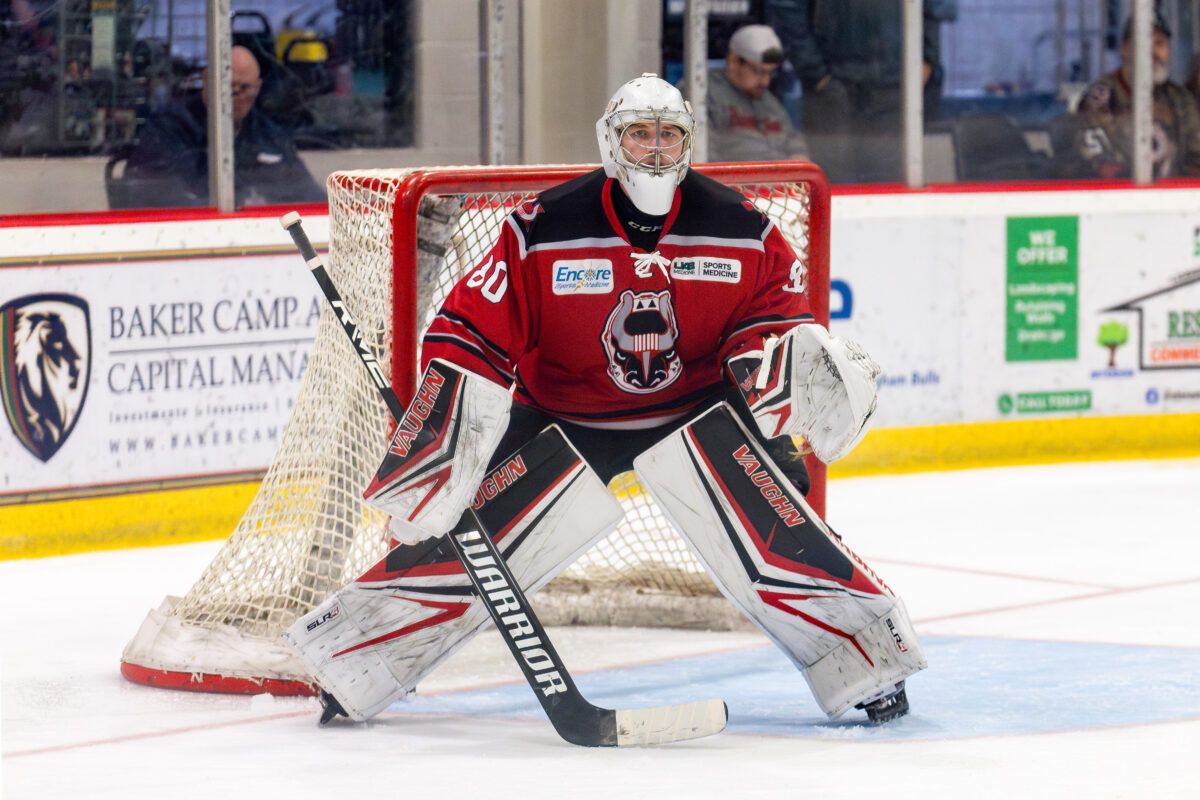 Birmingham Bulls vs. Peoria Rivermen