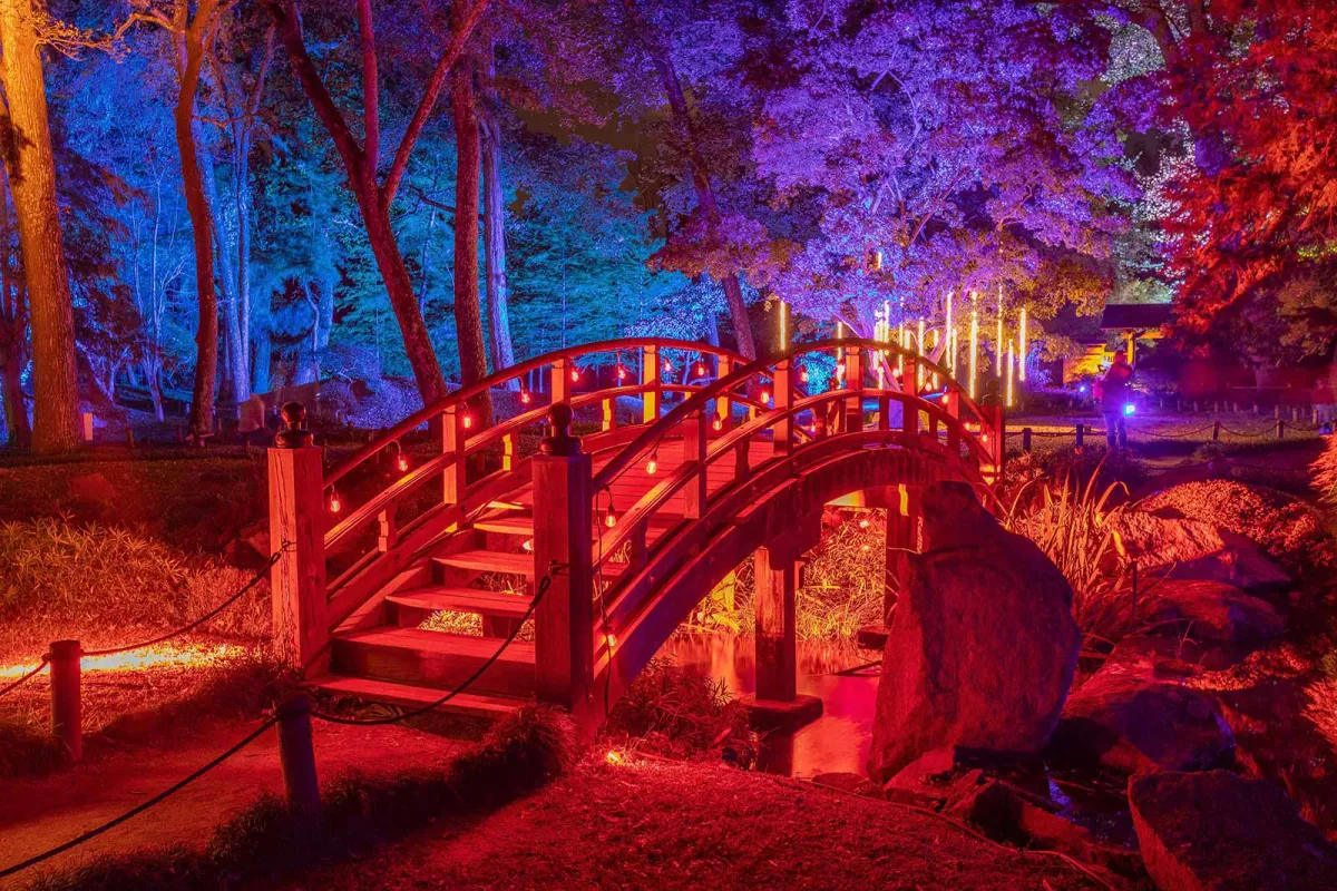 Garden Glow (Ticket Required)