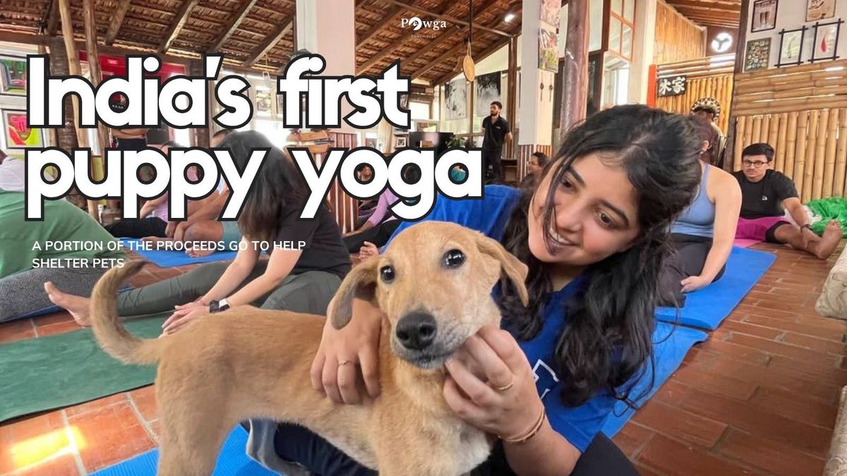 Pawga&apos;s Puppy Yoga