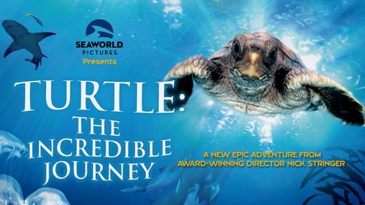 Family Film Series: Turtle: The Incredible Journey