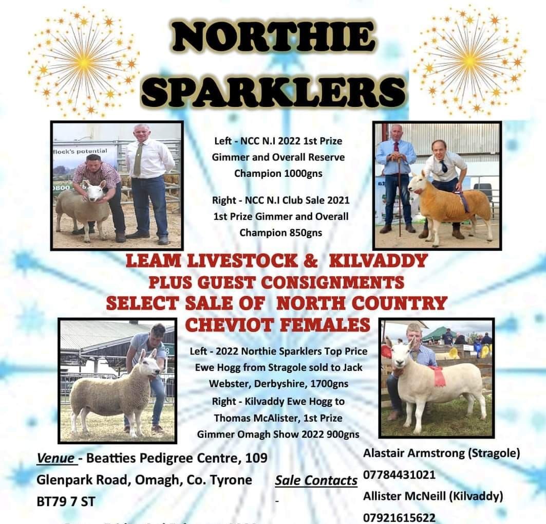 4th annual Northie Sparkler Sale 