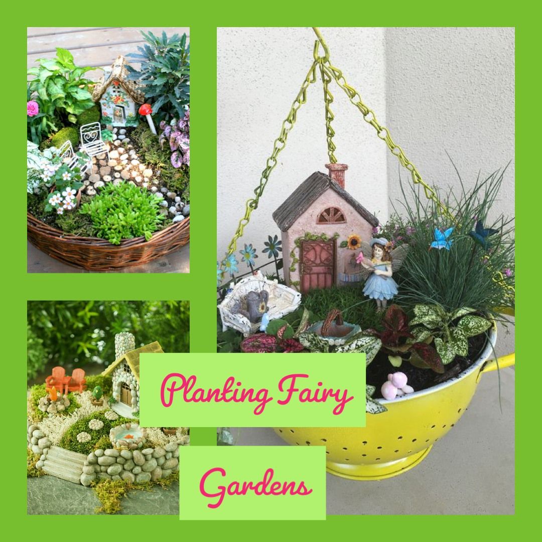 Planting Fairy Gardens