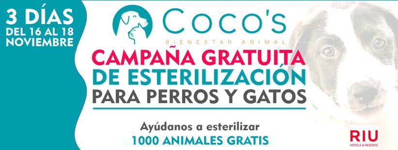 Campa\u00f1a de Esterilizaci\u00f3n Gratuita - Coco\u00b4s Bienestar Animal 2024