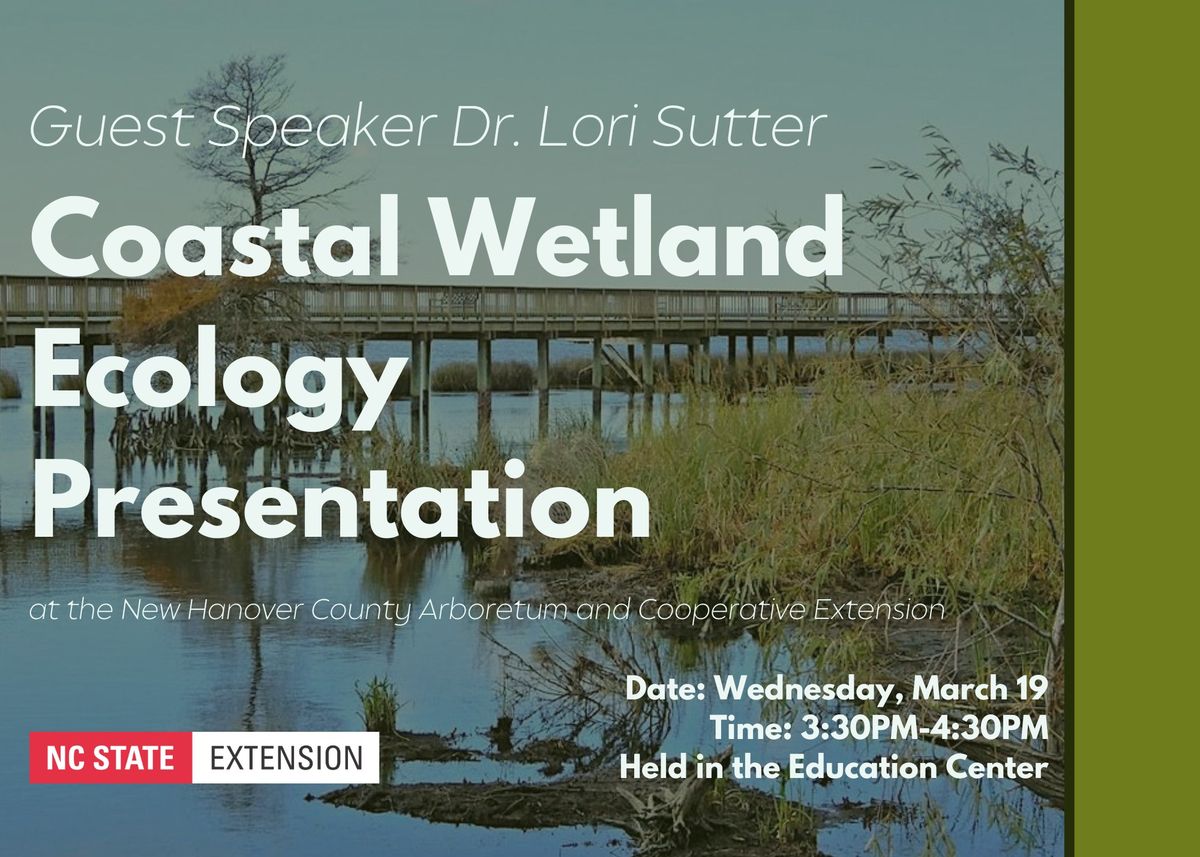 Explore the Vital Role of Coastal Wetlands \u2013 A Deep Dive into Ecology, Conservation