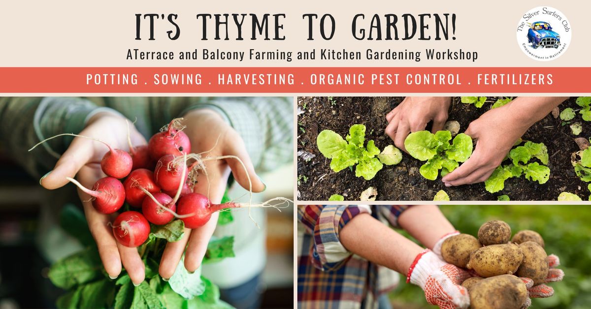 A Thyme to Garden - Going Organic at Home