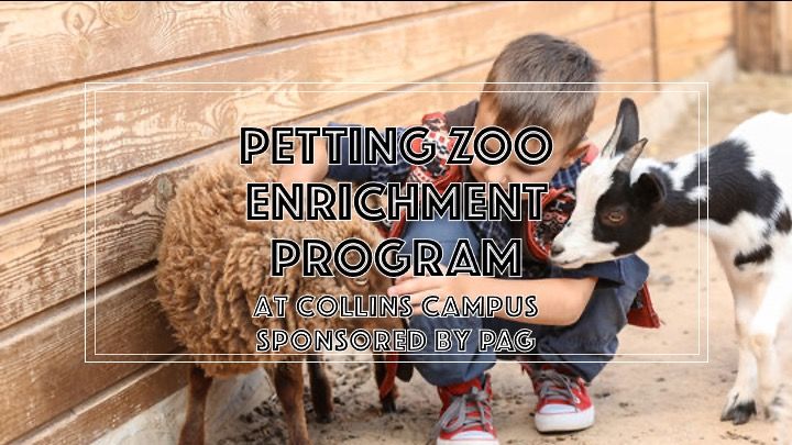 Petting Zoo on Campus