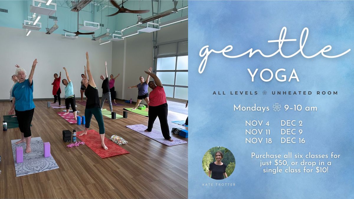 Gentle Yoga at the Studio