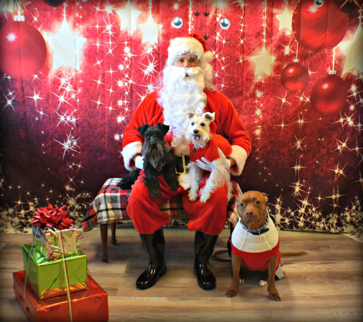 Pet Pictures with Santa