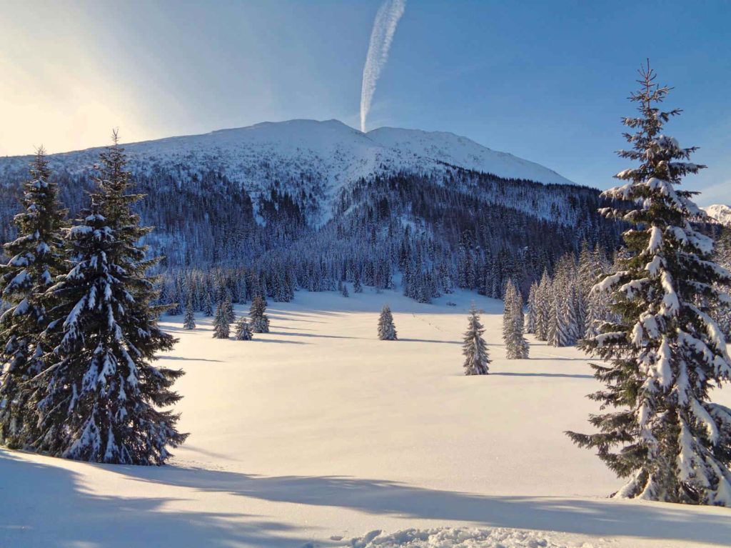 Tatry zim\u0105 : G\u0119sia Szyja 