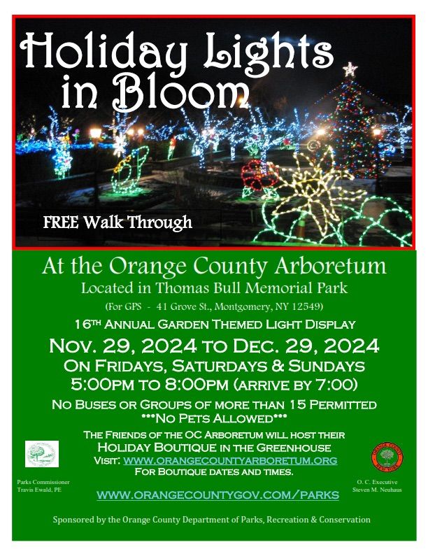 Holiday Lights in Bloom