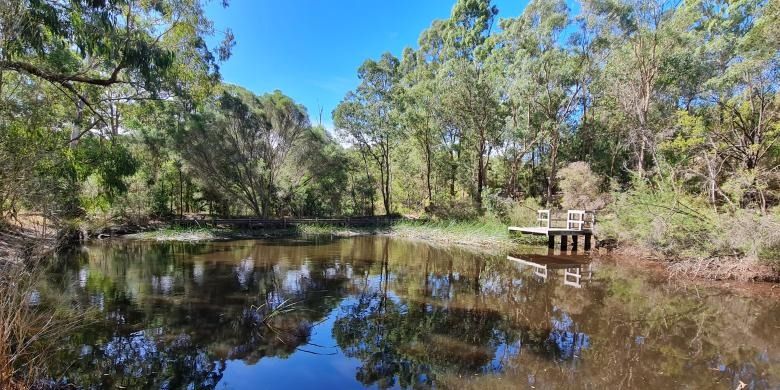 Try Bushwalking Month - Currawong Park - Local bush ramble in urban bushland - Grade 2 (easy)