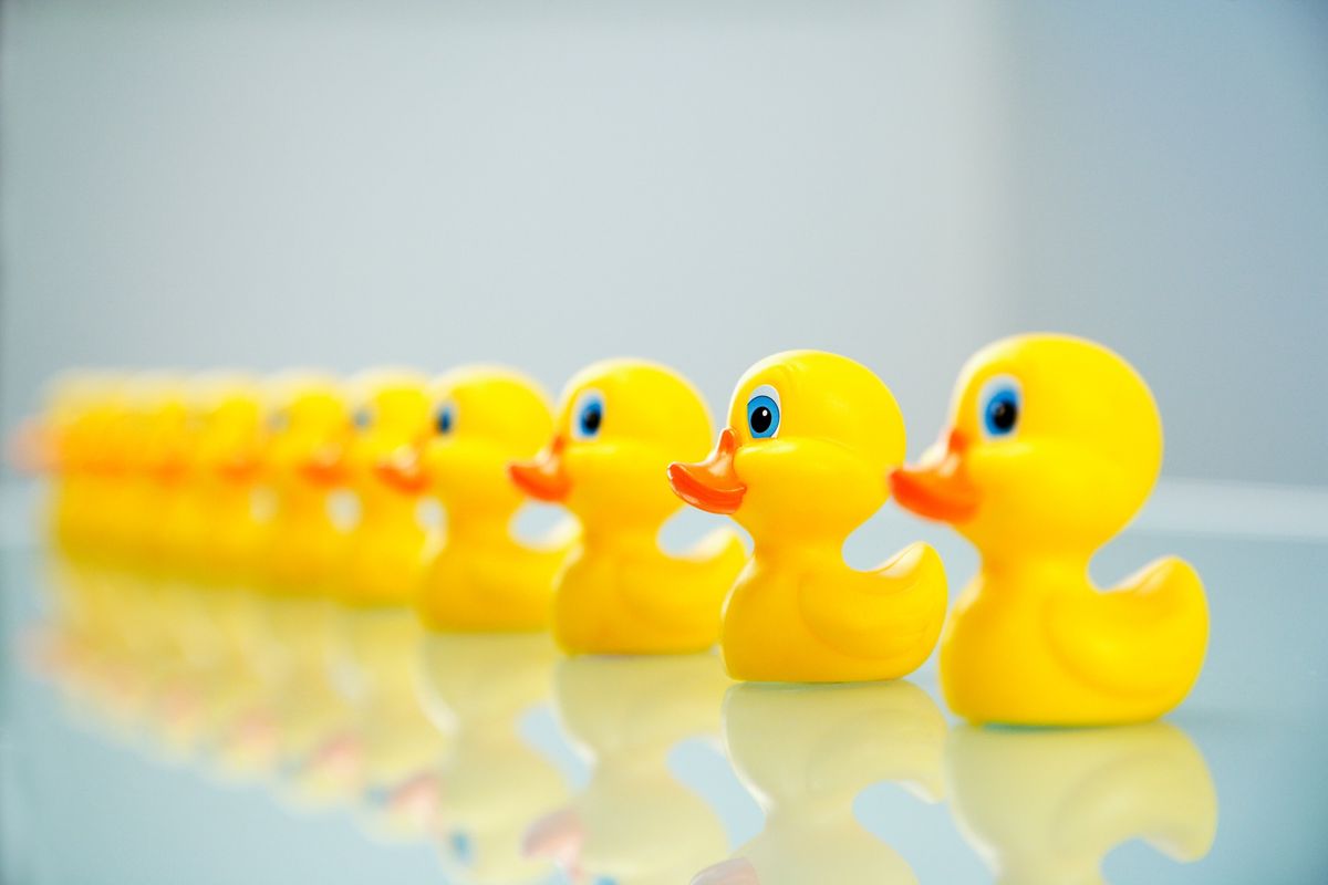 Got Your Ducks in a Row?