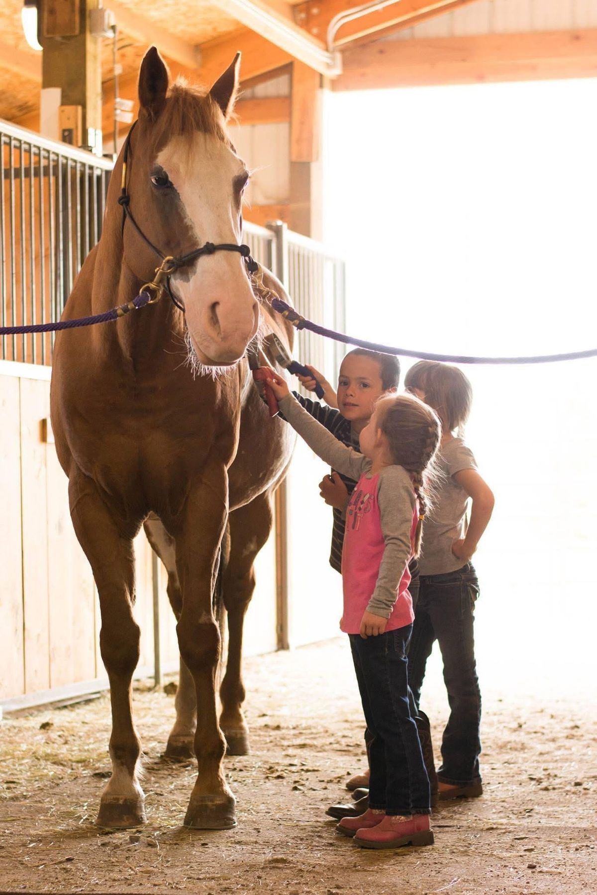 Spring Pony Pre-School