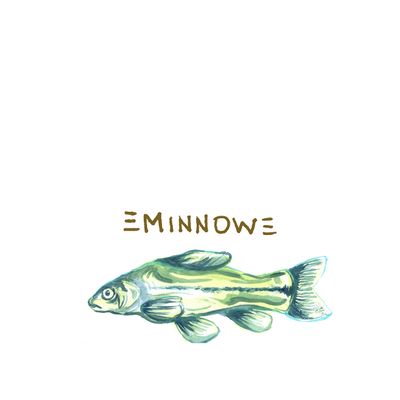 Minnow Workshops