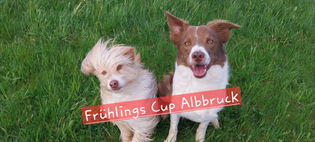 Fr\u00fchlings Cup Albbruck